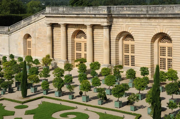 Francja, ogród oranżerii Pałacu Wersalskiego — Zdjęcie stockowe