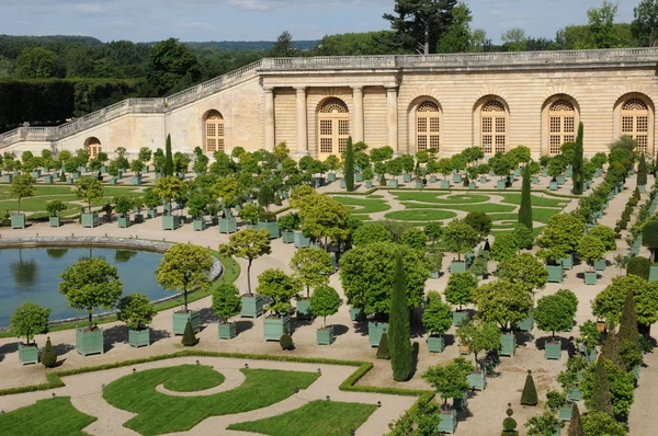 Frankreich, Garten der Orangerie von Schloss Versailles — Stockfoto