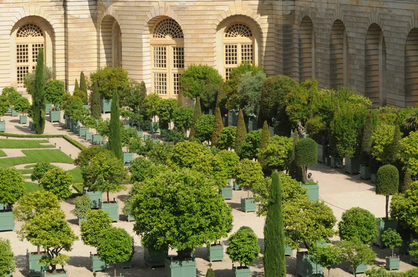 フランス ヴェルサイユ宮殿オランジェリーの庭 — ストック写真