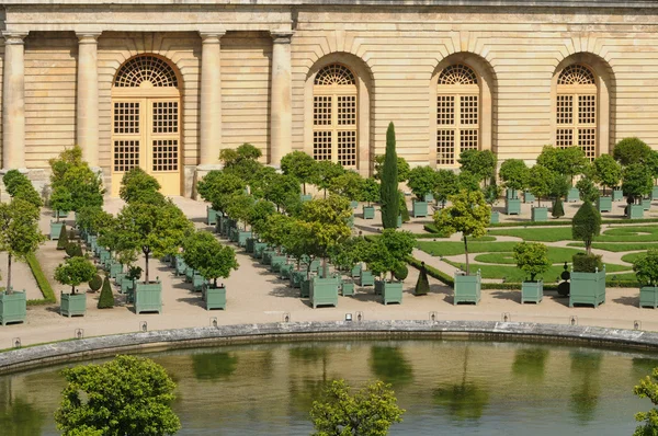 Francja, ogród oranżerii Pałacu Wersalskiego — Zdjęcie stockowe