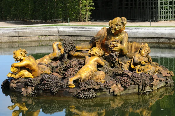青铜雕像在公园的凡尔赛宫 — 图库照片