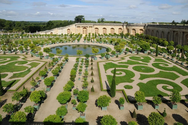 Франція, сад Версальського палацу оранжереєю — стокове фото