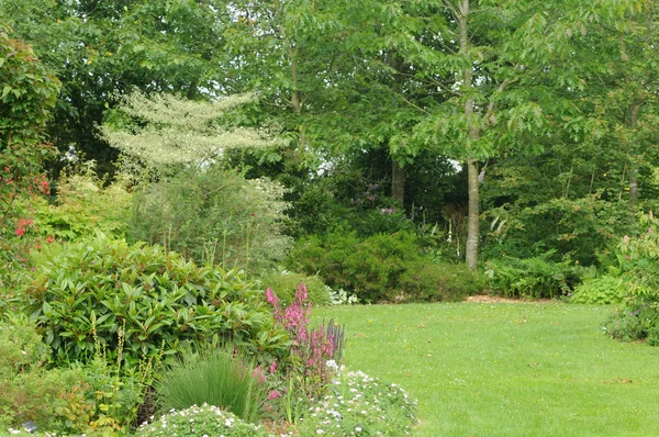 Brittany, le Jardin Lepage in Pleumeur Bodou — Stock Photo, Image