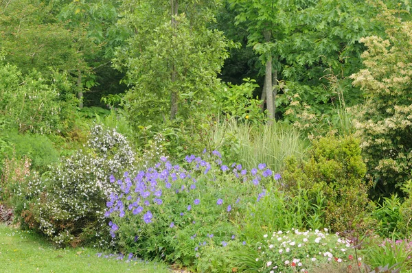 Brittany, le jardin lepage w pola golfowego pleumeur-bodou — Zdjęcie stockowe