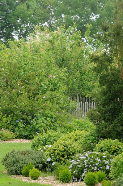 stock image Brittany, le Jardin Lepage in Pleumeur Bodou