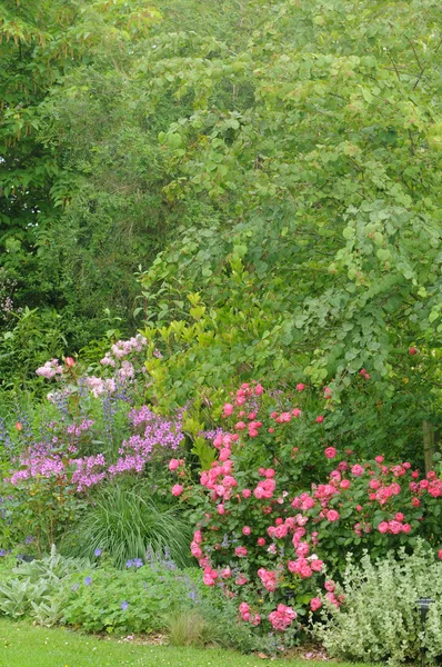 Bretagna, le jardin lepage a pleumeur bodou — Foto Stock
