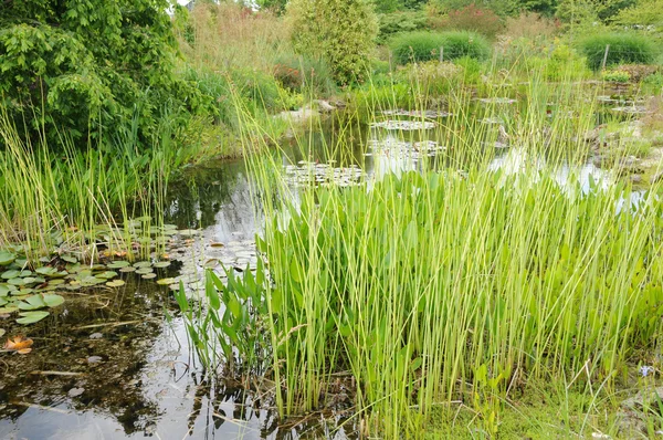 Stock image Brittany, le Jardin Lepage in Pleumeur Bodou