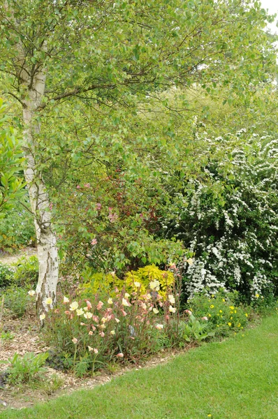 Bretagne, le jardin lepage i pleumeur-bodou — Stockfoto