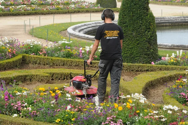 France, a gardener is working in the garden of Versailles palace — Stock Photo, Image
