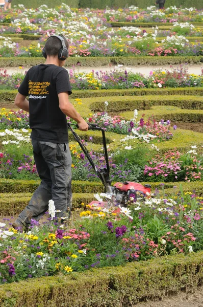 France, a gardener is working in the garden of Versailles palace — Stock Photo, Image