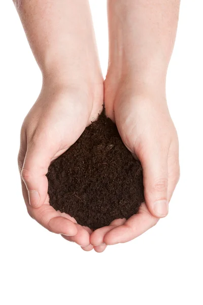 stock image Soil in hands