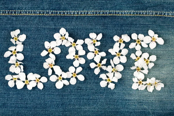 Çiçeklerden yapılmış kelime aşk — Stok fotoğraf