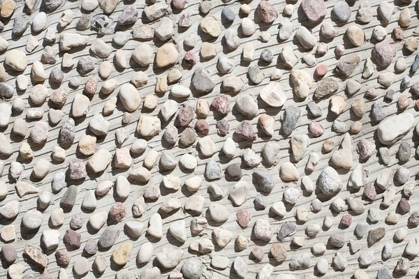 Kis kövek a betonfal — Stock Fotó