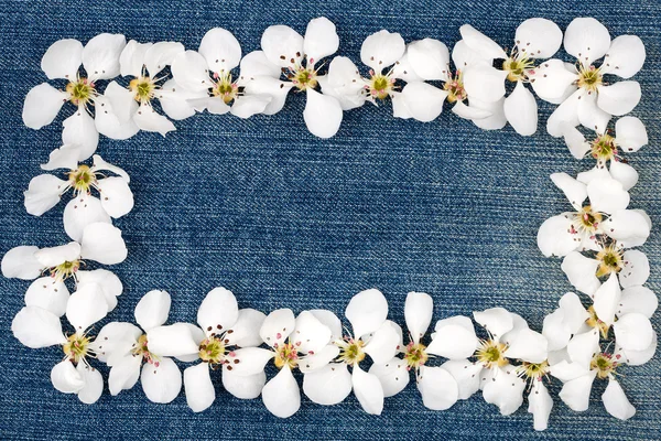 Белые цветы на джинсах — стоковое фото