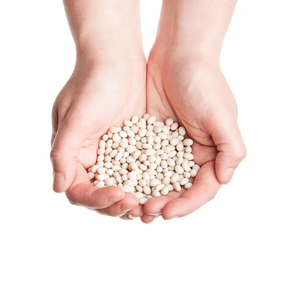 Ruce držící kopeček bílé fazole — Stock fotografie