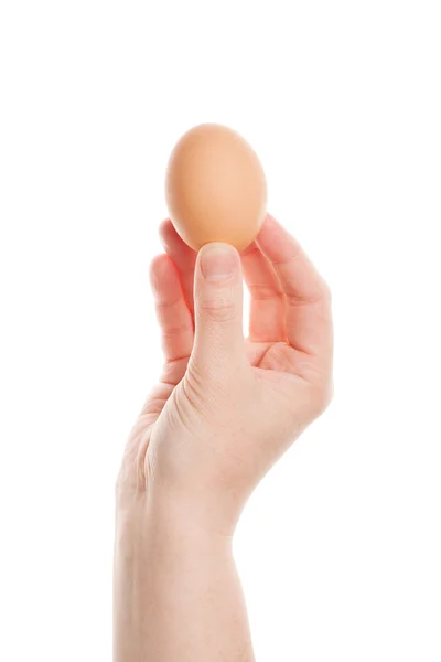 stock image Female hand with brown egg