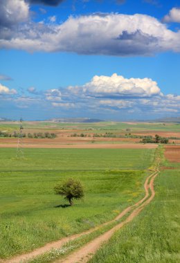 Mavi gök yeşil yolu II