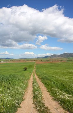 Mavi gök yeşil yol