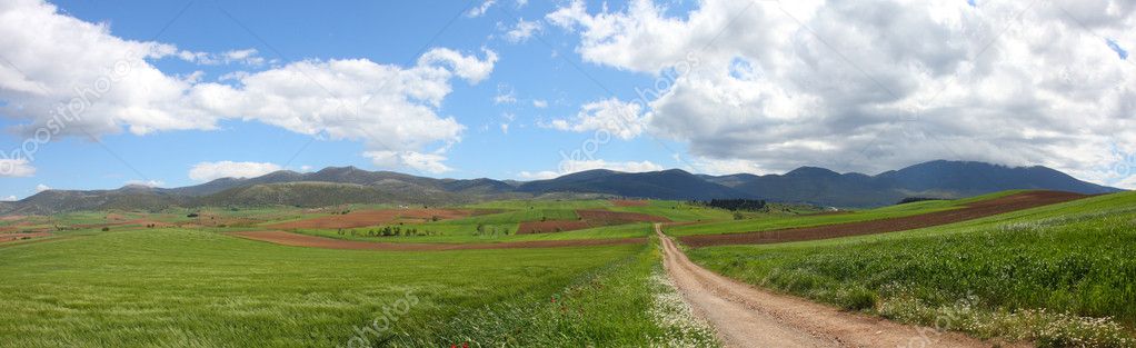 Green path to blue sky panorama