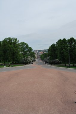 Oslo, Norveç