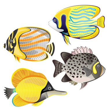 Exotic fish set clipart