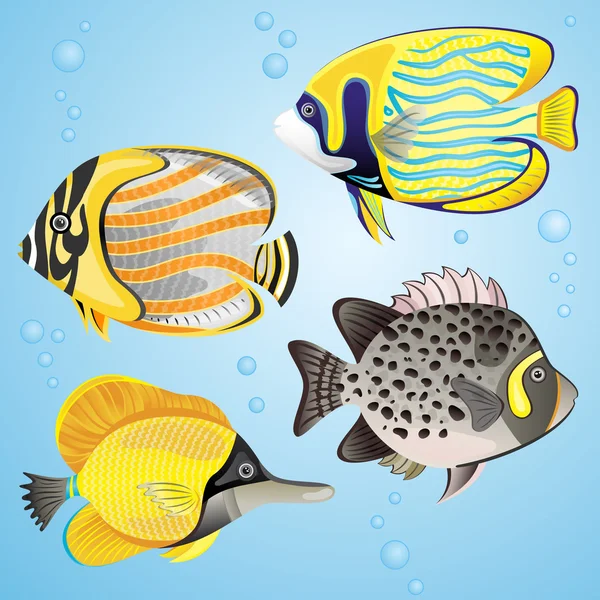 Conjunto de peixes exóticos — Vetor de Stock