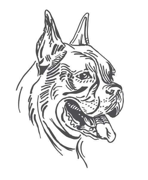 Portrét psa je boxer. ve vektoru. — Stockový vektor
