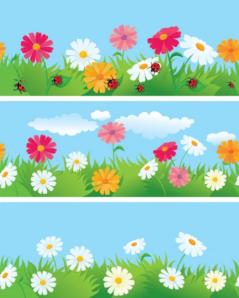 Çiçek ve ladybirds 3 kesintisiz Kenarlıklar — Stok Vektör
