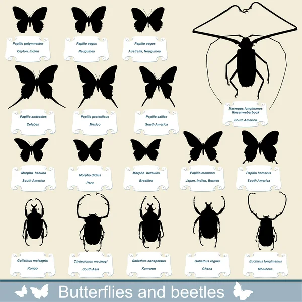 stock vector Silhouettes of insects - beetles and butterflies