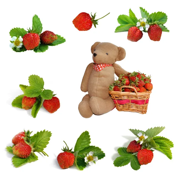 Sada jahod, koš a rukou se hračka medvídek — Stock fotografie