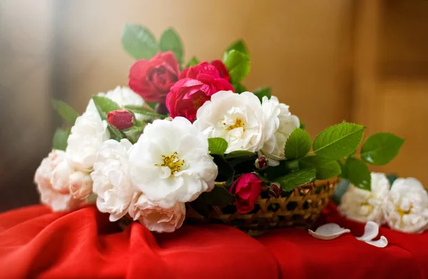 Red and white Tea Roses in the Basket — Stock Photo, Image