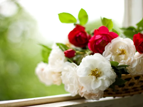 Rosas de chá vermelhas e brancas na cesta Fotografias De Stock Royalty-Free