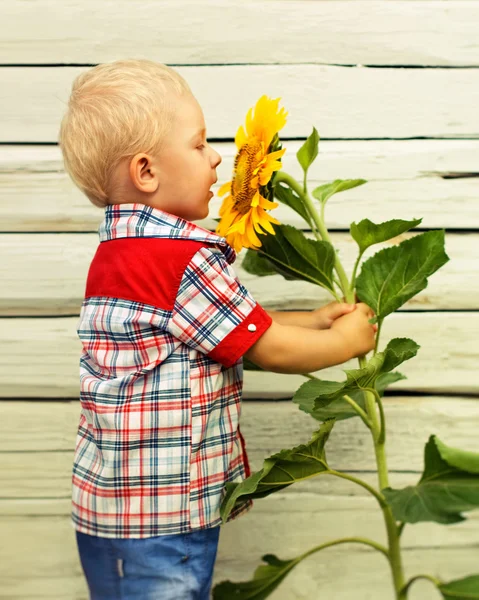 Malý chlapec s slunečnice — Stock fotografie