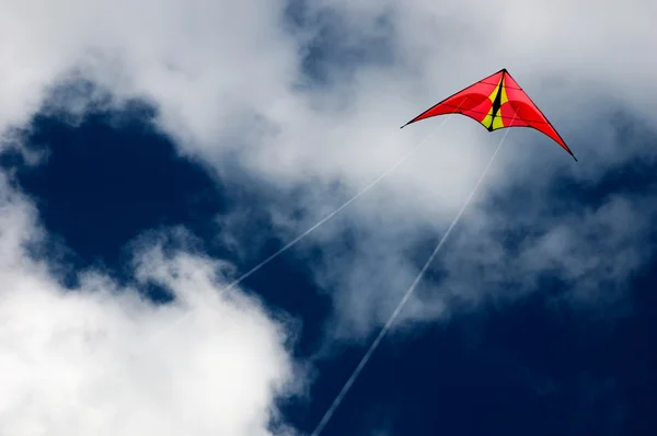 stock image Red Kite