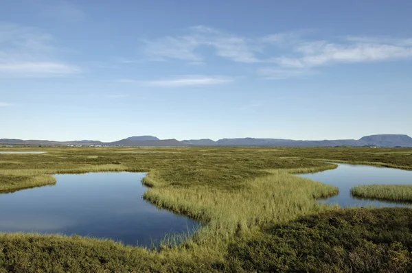 Myvatn paisagem lago na Islândia . — Fotografia de Stock