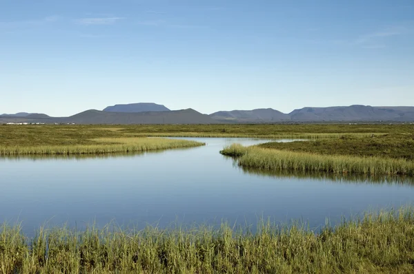 Tudra landschap aan merengebied myvatn, IJsland. — Stockfoto