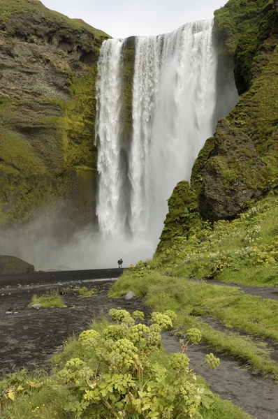 Seljalandsfoss 瀑布冰岛 — 图库照片