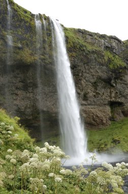 Seljalandsfoss waterfall, Iceland clipart