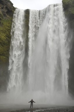 Seljalandsfoss waterfall, Iceland clipart