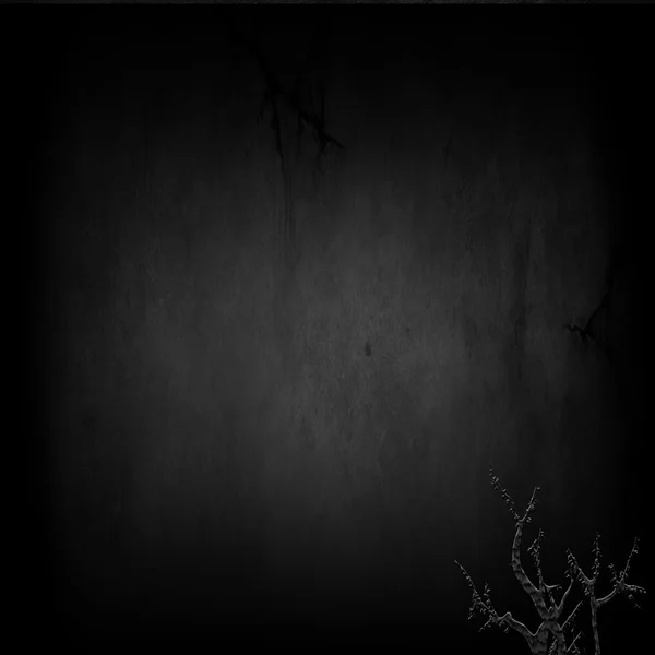 Negro con pequeño árbol — Foto de Stock