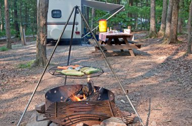 Campfire Meal clipart