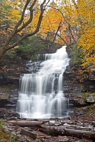 stock image Waterfall in Autumn