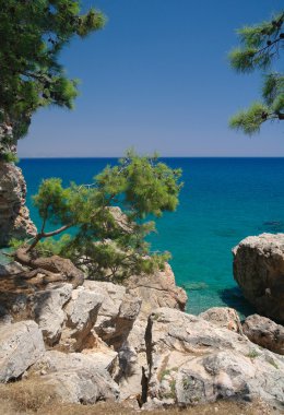 Yalnız beach