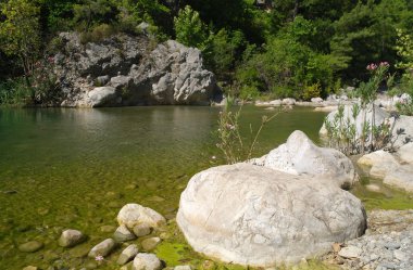 Dağ Nehri.