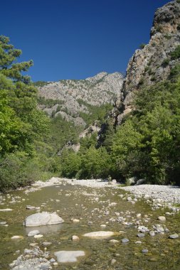 Dağ Nehri.