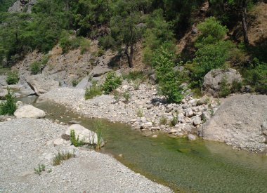 Dağ Nehri.