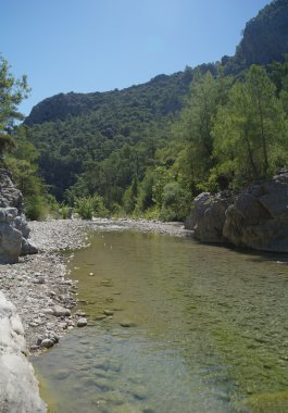 Dağ Nehri.