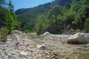 Dağ Nehri.