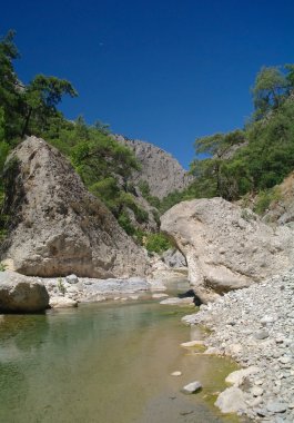 Dağ Nehri.