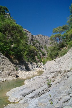 Dağ Nehri.